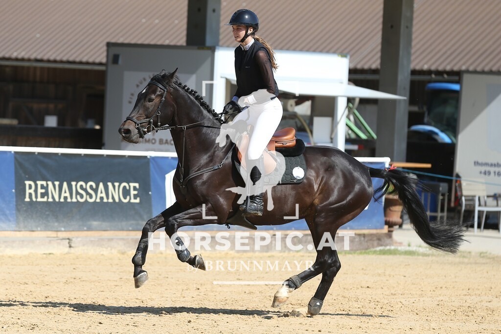 Singer Esprit | Willkommen bei Brunnmayr - Design & Fotografie – Ihrem Spezialisten für Reitturniere und Pferdeveranstaltungen in Oberösterreich, Salzburg und Bayern! Seit über 17 Jahren sind wir leidenschaftlich dabei.