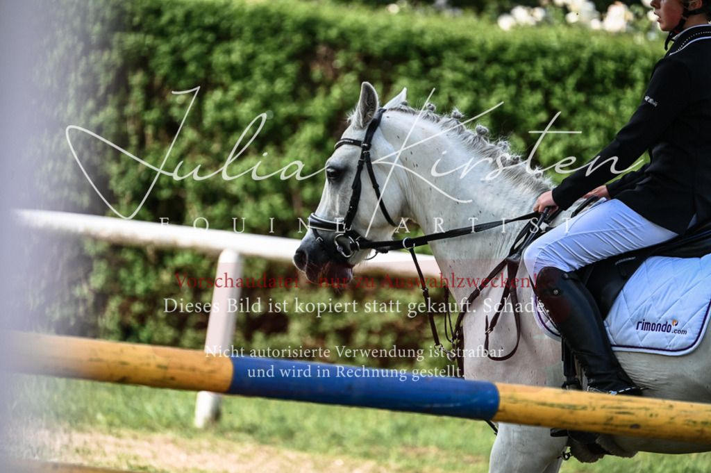DSC_7710 | Pferde- und Turnierfotografie in Westsachsen. Pferdeportraits, Auftragszeichnungen und intuitive Kunst.