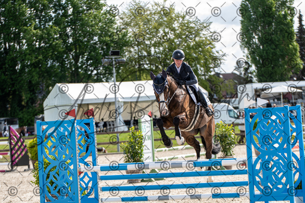 KPT_4789 | andre_photographic