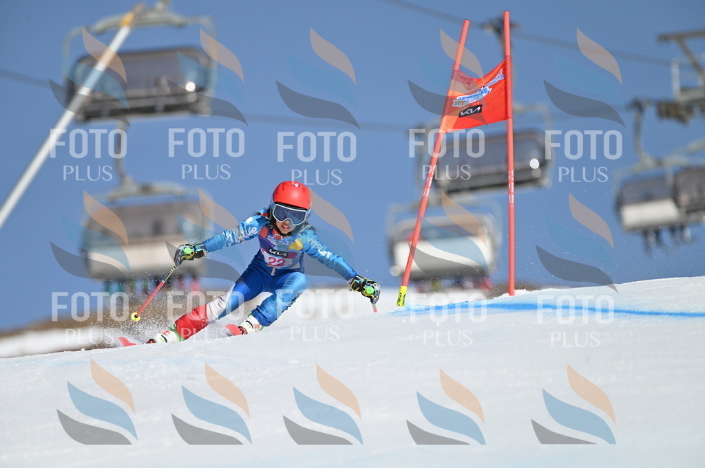 BGV_7966 | holidayphoto