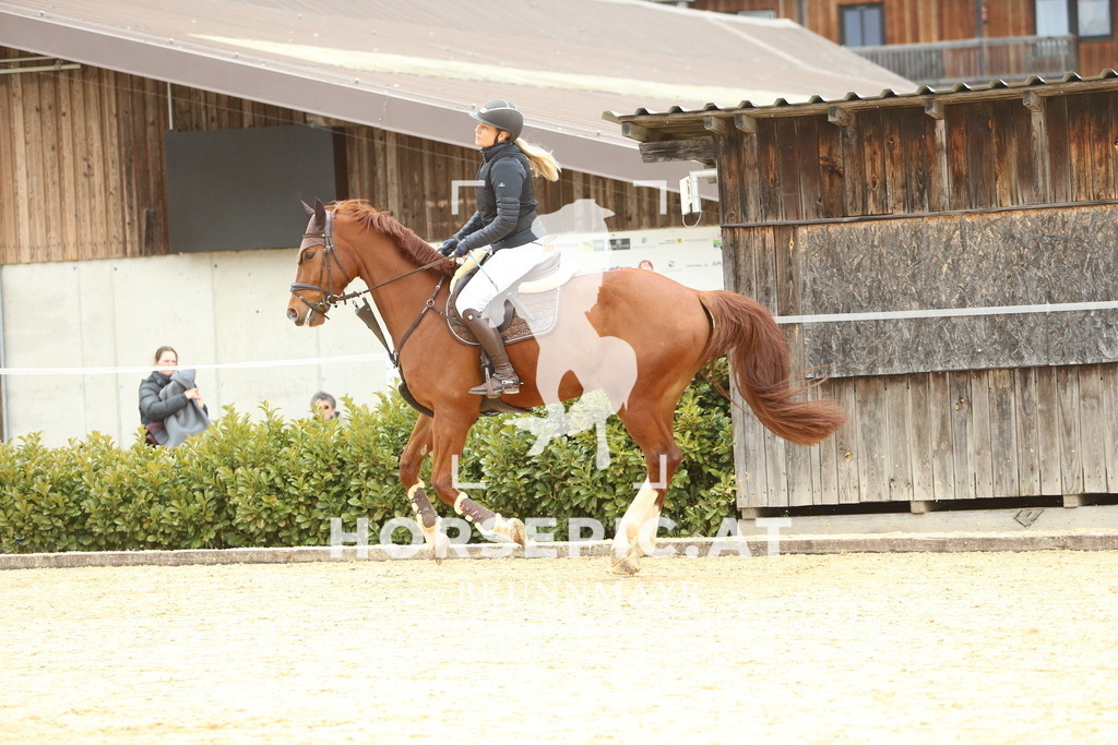 DL2Q2107 | Willkommen bei Brunnmayr - Design & Fotografie – Ihrem Spezialisten für Reitturniere und Pferdeveranstaltungen in Oberösterreich, Salzburg und Bayern! Seit über 17 Jahren sind wir leidenschaftlich dabei.