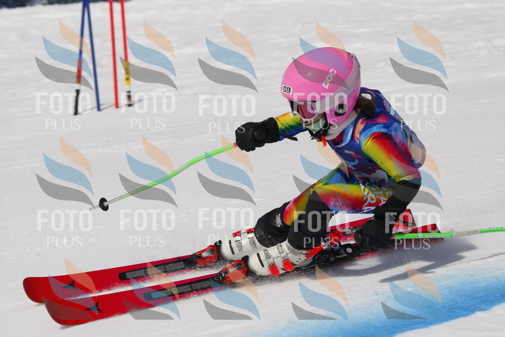 _W1G0146 | holidayphoto