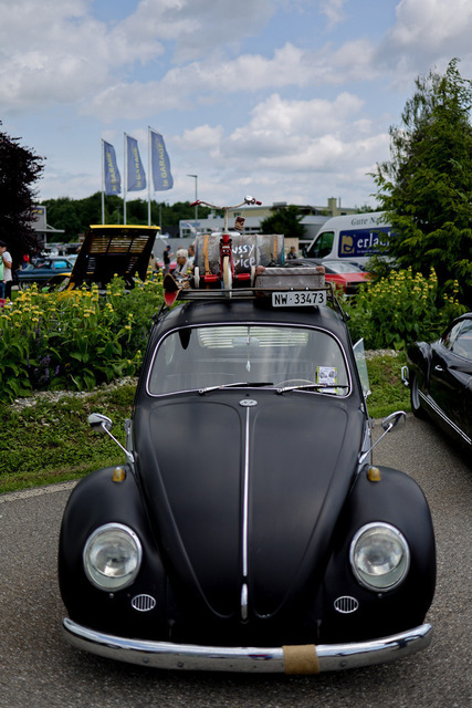 Calag_Oldtimer2025-11 | Ich fotografiere Hundeausstellungen, Sportanlässe, Zuchtstätten, Hundezucht, Hundeportrait, Lagotto - Realisiert mit Pictrs.com