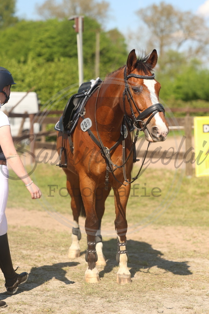 994A6108 | sabrinanicolaifotografie - Realisiert mit Pictrs.com