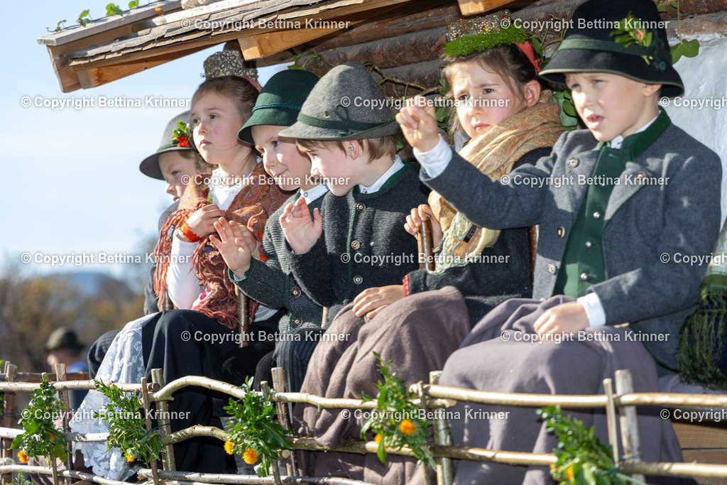 LBT24-1272 | foto-bettina-krinner - Realisiert mit Pictrs.com