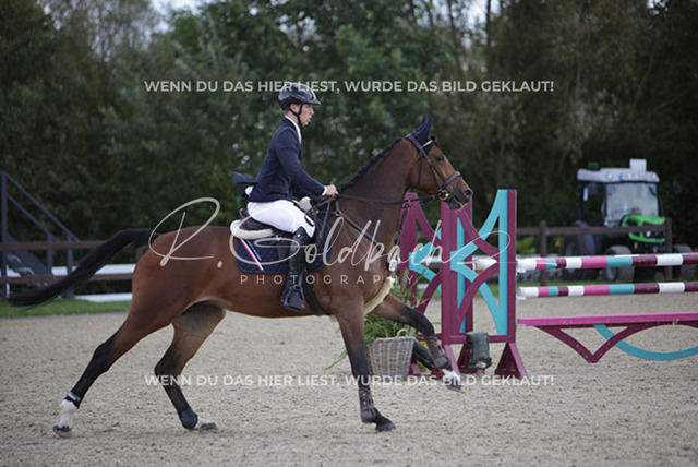 1J2A5367Mathies Rüder_ Genta van der Beeke_ Kn471_ Havekost | Foto- und Videografie für alles rund ums Pferd. Hochwertige Bilder und Videos vom Spring- und Dressurreiten, Voltigieren & mehr. Jetzt aktuelle Veranstaltungen und Preise im Shop ansehen. - Realisiert mit Pictrs.com