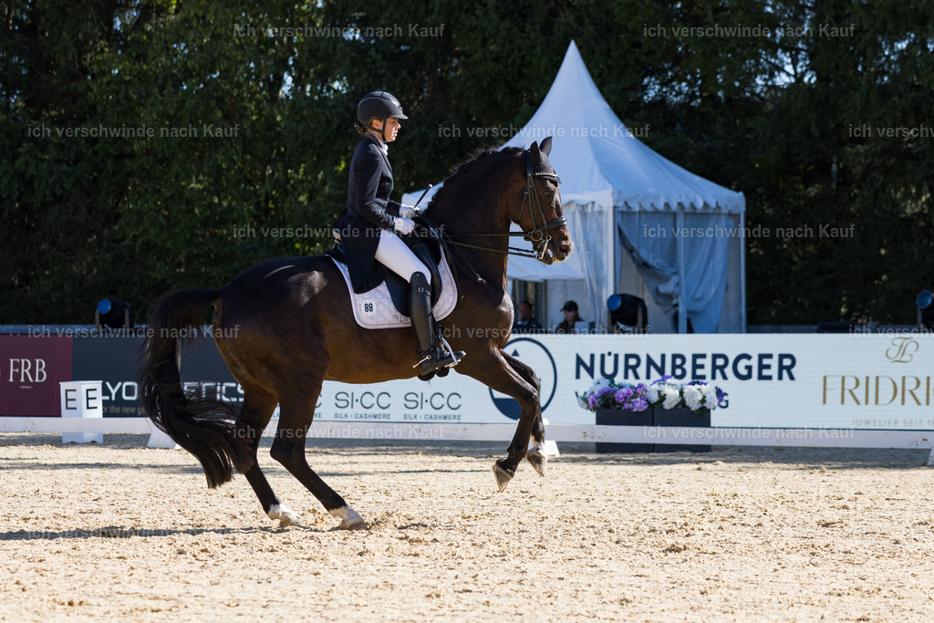 FHC2026_P07_88_17636 | working equitationturnier fotograf videograf stoibphotography marixx film working equitation deutschland reitsport turnierfotografie eventfotografie equestrian events