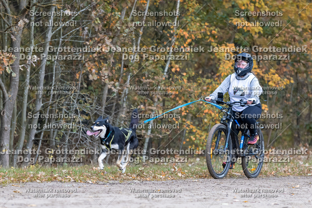 Dog Paparazzi - SD CaniX Championship 2025-200 | Dog Paparazzi Jeanette Grottendiek Fotografie & Videografie - Realisiert mit Pictrs.com