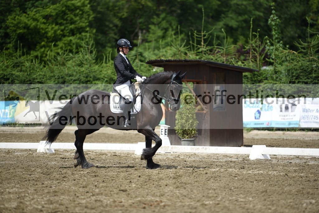 DSC_0762 | equestrian-live-com