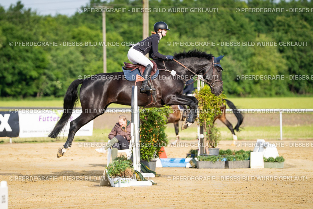 DSC02845 | Pferdegrafie