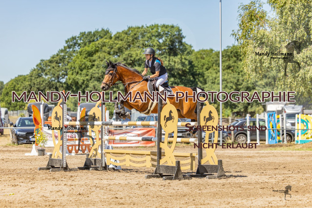 26-8-9 SPR M-144 | mandyhollmannphotographie