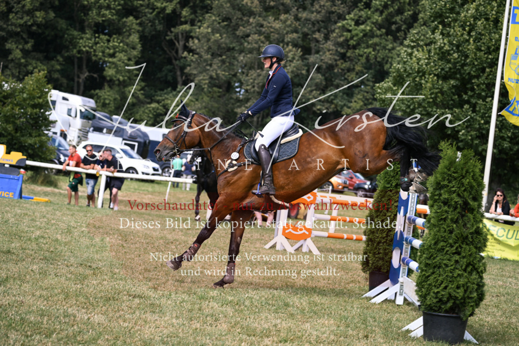 DSC_0801 | Pferde- und Turnierfotografie in Westsachsen. Pferdeportraits, Auftragszeichnungen und intuitive Kunst.