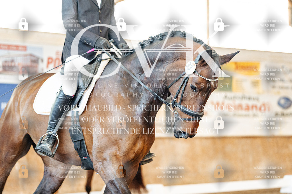 CK909093 | Turnierfotografie Pferdefotografie Trier Rheinland-Pfalz Pferdesport Reitsport Tierfotografie Sportfotografie Pferdevideo Pferdevideografie Equestrianvideography equestrianphotography  - Realisiert mit Pictrs.com