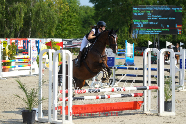 Gut Blee25_Amateuer Stilsprpfg Kl A_0159 | Turniersportfotografie; Pferdefotografie; Dressurfotografie