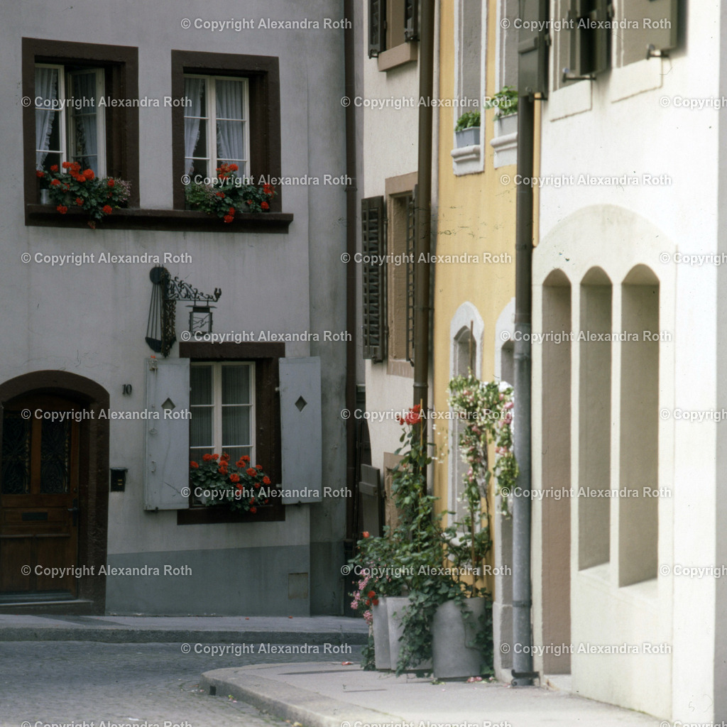 Aarau_0973 | onlineshop - Realisiert mit Pictrs.com