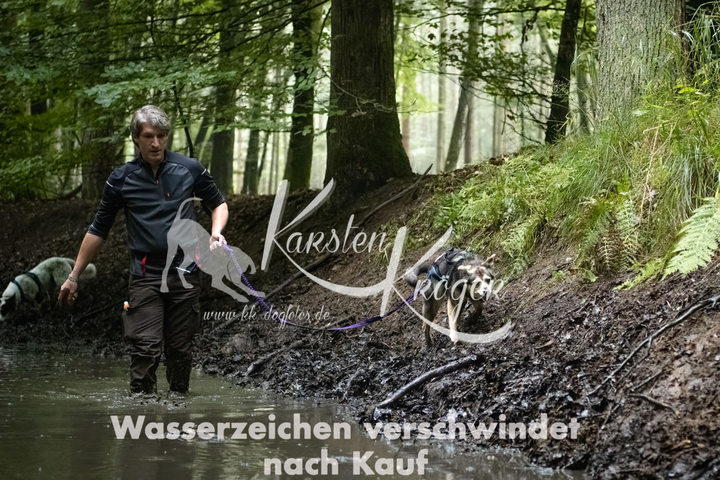 1246_ZZ91384-Bearbeitet | kk-dogfotos