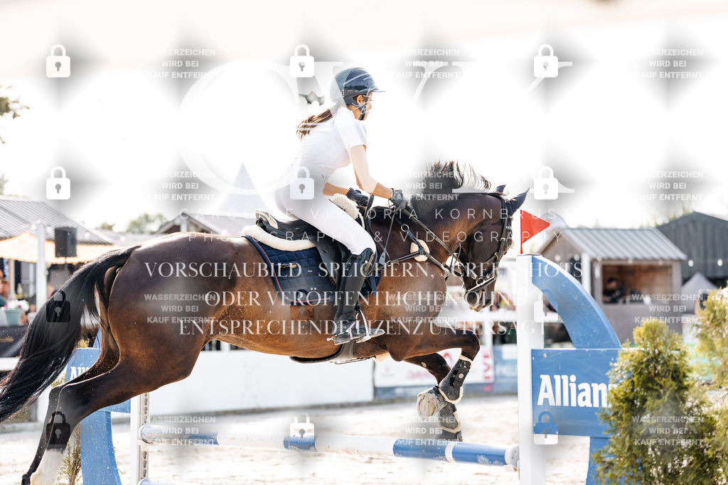 CK905925 | Turnierfotografie Pferdefotografie Trier Rheinland-Pfalz Pferdesport Reitsport Tierfotografie Sportfotografie Pferdevideo Pferdevideografie Equestrianvideography equestrianphotography  - Realisiert mit Pictrs.com