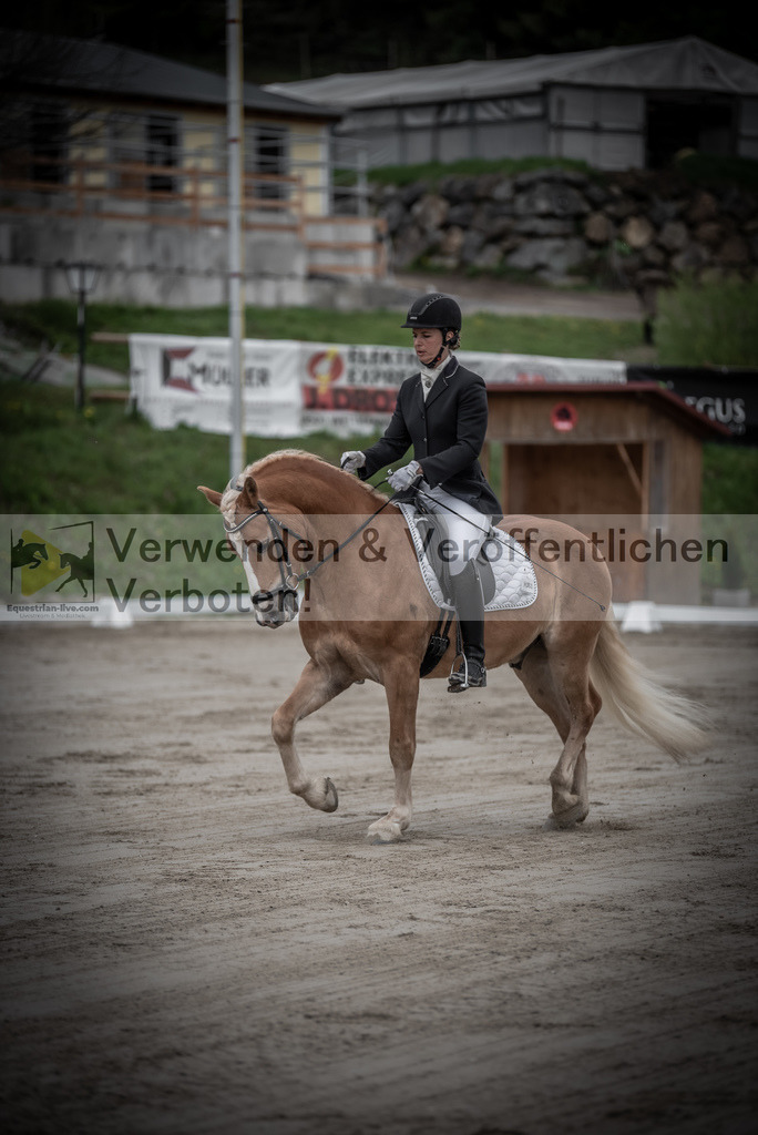 DSC_9009 | equestrian-live-com