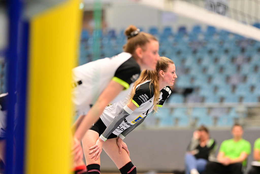 Volleyball I Frauen I Saison 2024-2025 I Regionalliga Nord I VT Hamburg - VSG Lübeck | Der Sportfotograf. - Realisiert mit Pictrs.com