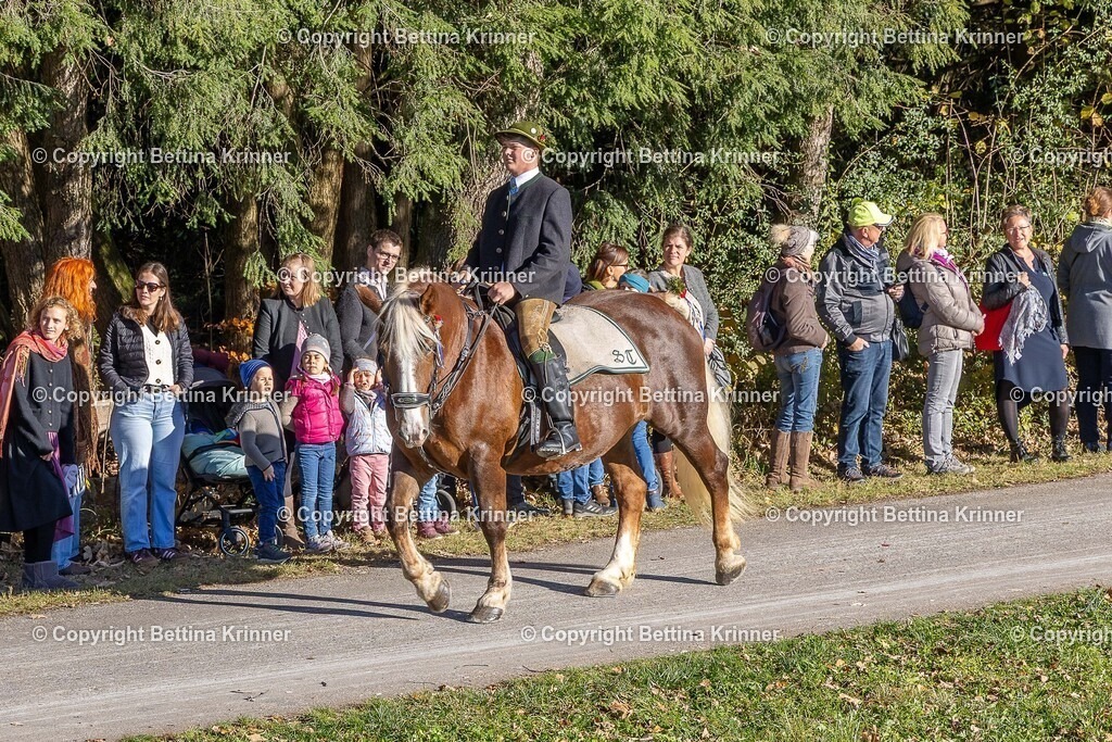 LBT25-279 | foto-bettina-krinner - Realisiert mit Pictrs.com
