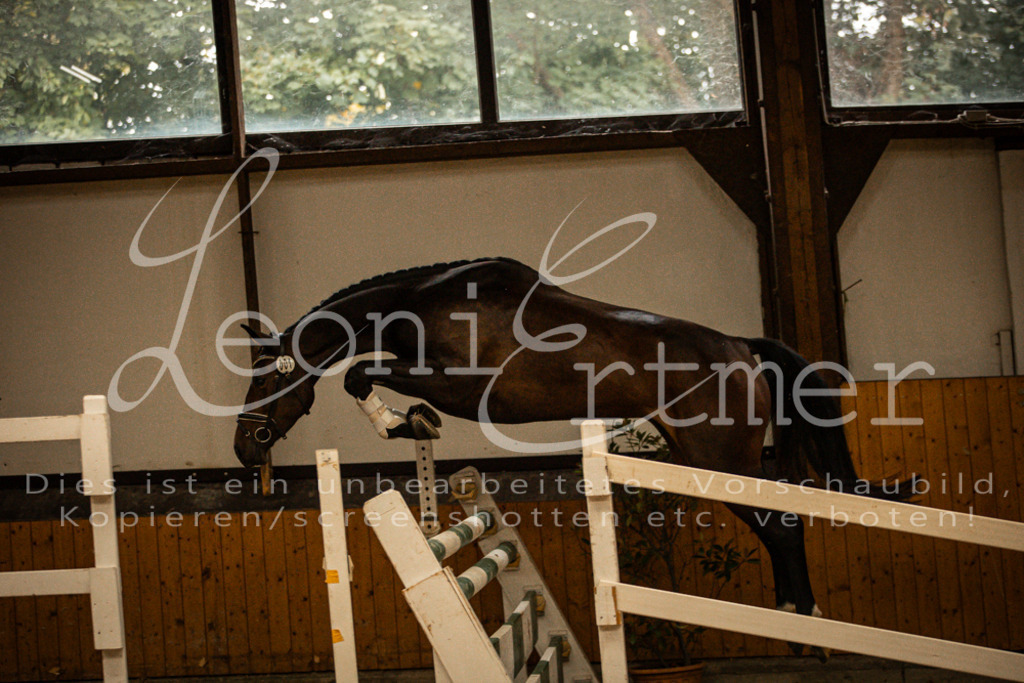 1FS_L00009 | Leoni Ertmer Photography - Realisiert mit Pictrs.com