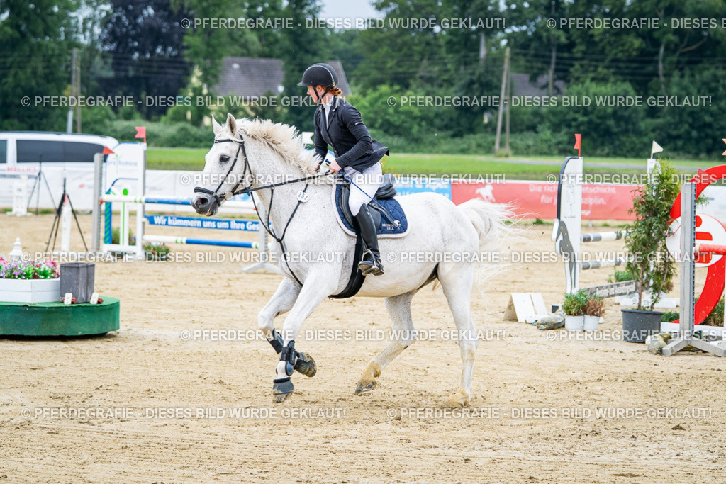 DSC03572 | Pferdegrafie