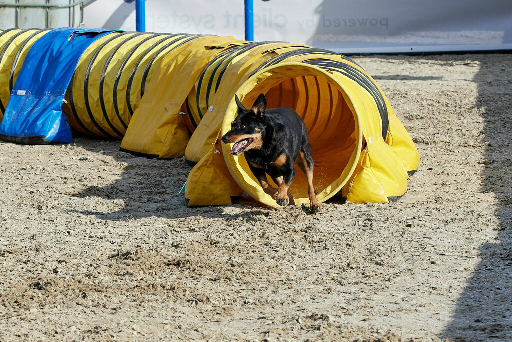 580B0036 | Peter Fridle Fotografie - Realisiert mit Pictrs.com