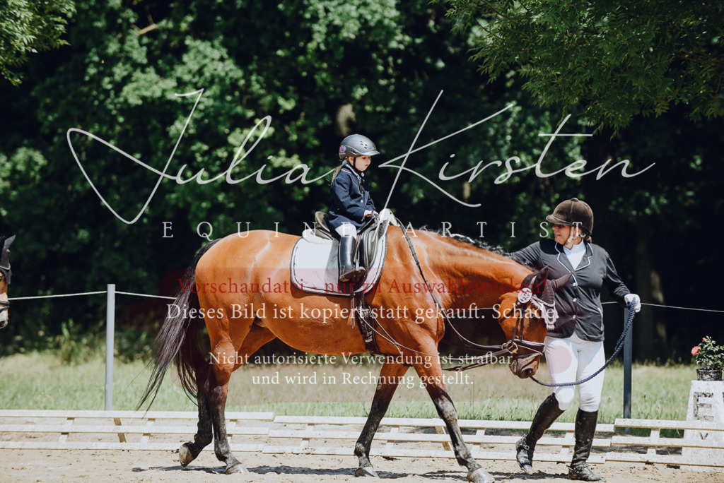 DSC_2621 | Pferde- und Turnierfotografie in Westsachsen. Pferdeportraits, Auftragszeichnungen und intuitive Kunst.
