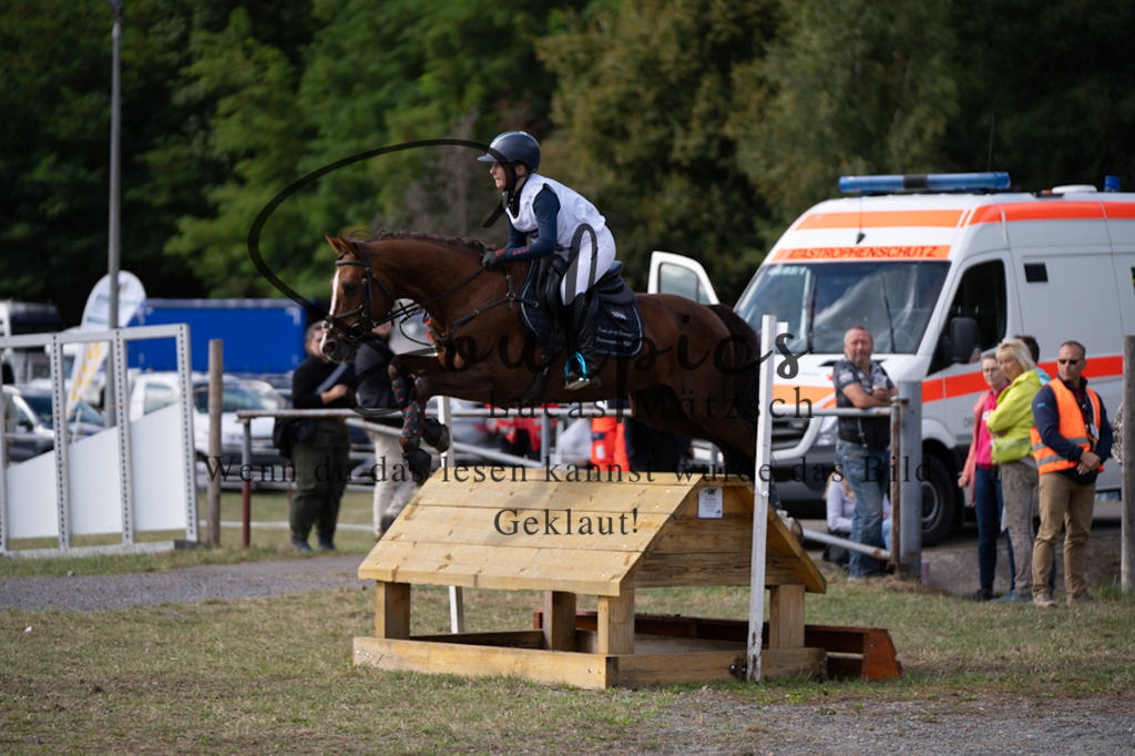 A7V01010 | Pferdefotograf