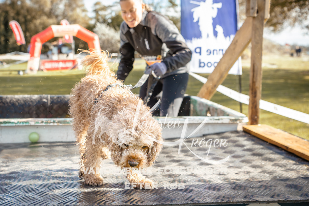 1434_ZZ94720-2 | kk-dogfotos