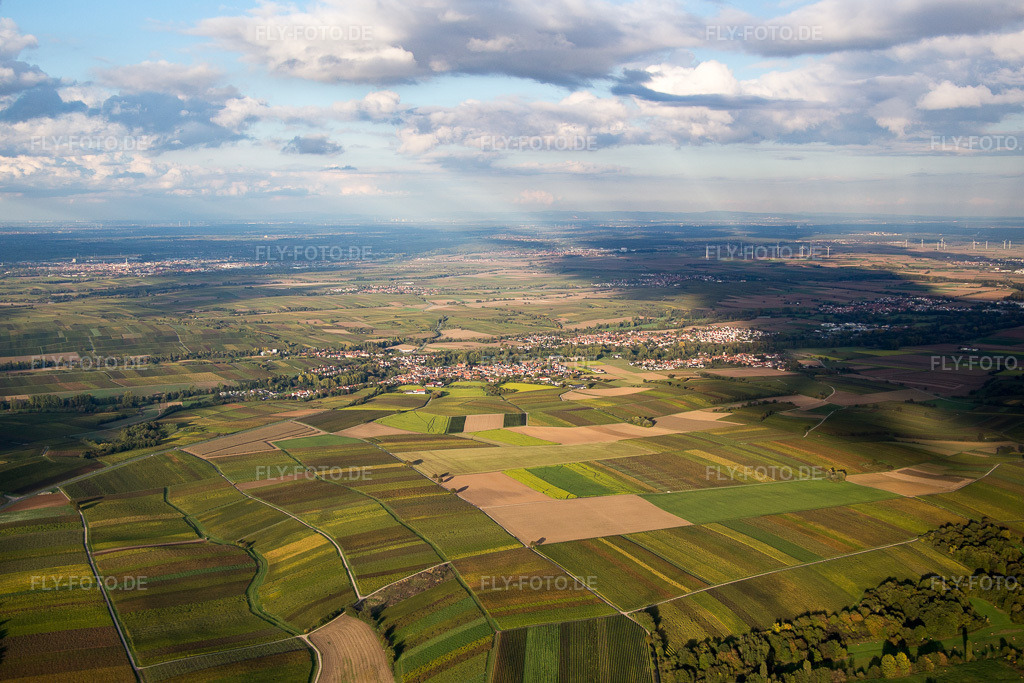 Luftbild: Billigheim-Ingenheim von Süden im Ortsteil Billigheim in Billigheim-Ingenheim im Bundesland Rheinland-Pfalz in Deutschland. Foto: IMG_074635.jpg vom 14.10.2014 durch Werner Riehm/FLY-FOTO.de