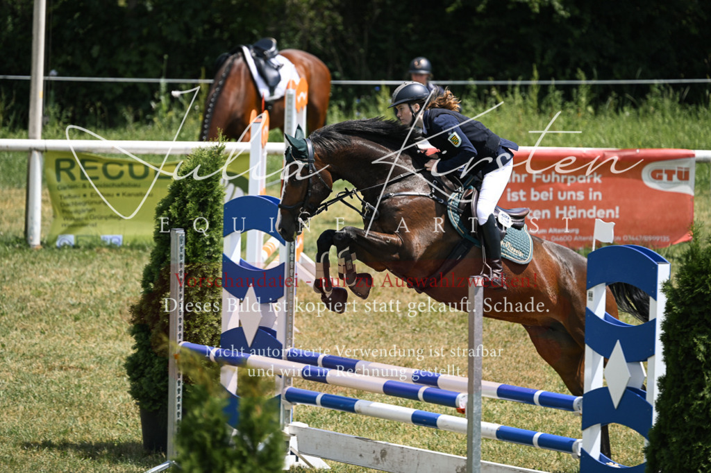 DSC_9716 | Pferde- und Turnierfotografie in Westsachsen. Pferdeportraits, Auftragszeichnungen und intuitive Kunst.