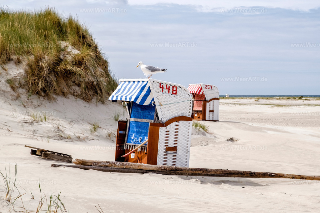 Amrum | Unser Tag am Kniep auf Amrum  - Realisiert mit Pictrs.com