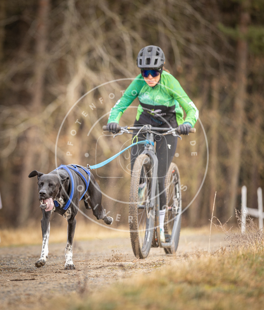 DV3A3403 | Hundefotografie, Tierfotograf, Pfotenfotografie, Fotoshooting Hund, Hunde Portrait, Hundesport, Hundeportraits, Heideshooting, Hunde, Sportfotograf, Hundefotograf, Turnierhundsport, THS,  - Realisiert mit Pictrs.com