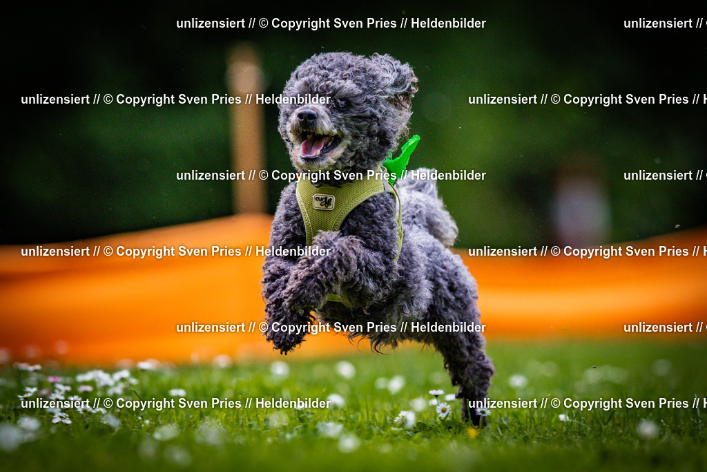Sven Pries | 2025-05-29 - Pudelrennen KA-Durlach - Realisiert mit Pictrs.com