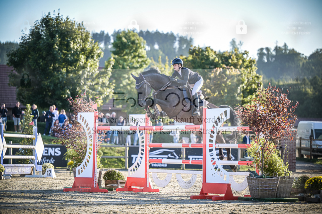 DOS_2184 | Entdecke hochwertige Reitturnierfotos von Foto Oger. Professionell, emotional und authentisch – jetzt Lieblingsmomente im Shop bestellen. - Realisiert mit Pictrs.com