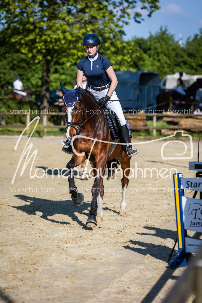 Donop24-ASpr-137 | MomenTaufnahmen Pferdesportfotos