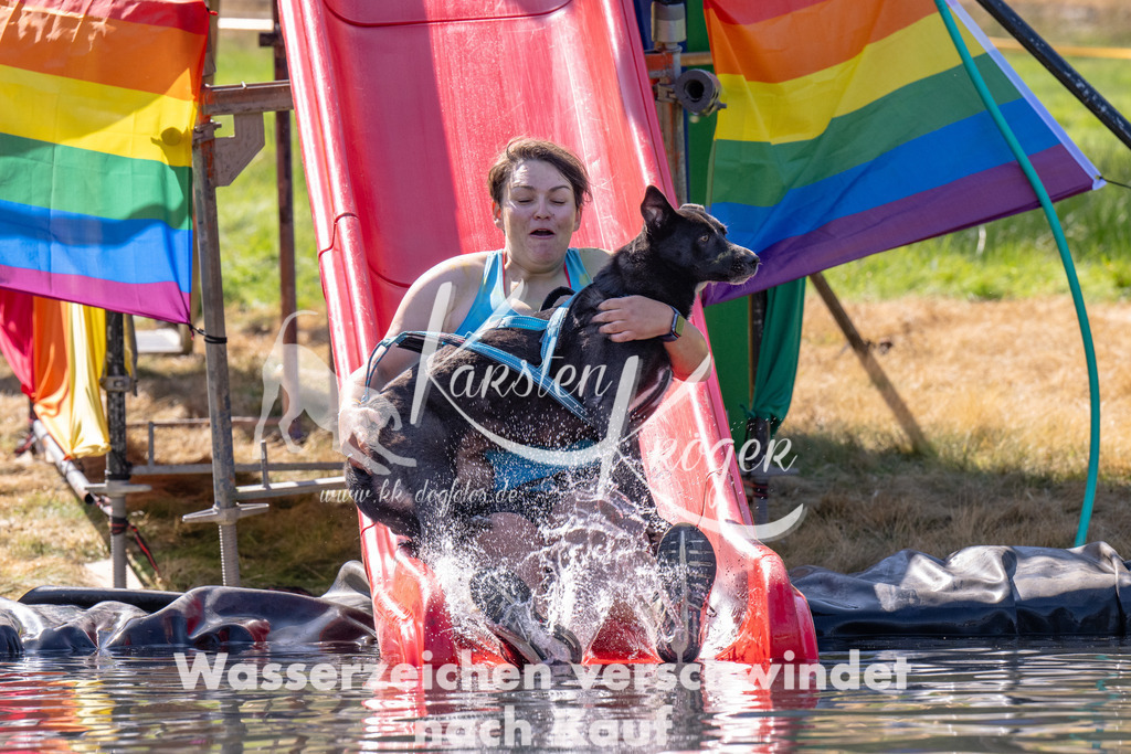 1214_ZZ91191 | kk-dogfotos