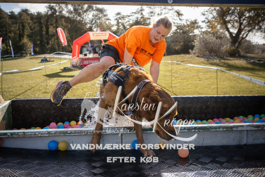 1015_ZZ90055 | kk-dogfotos