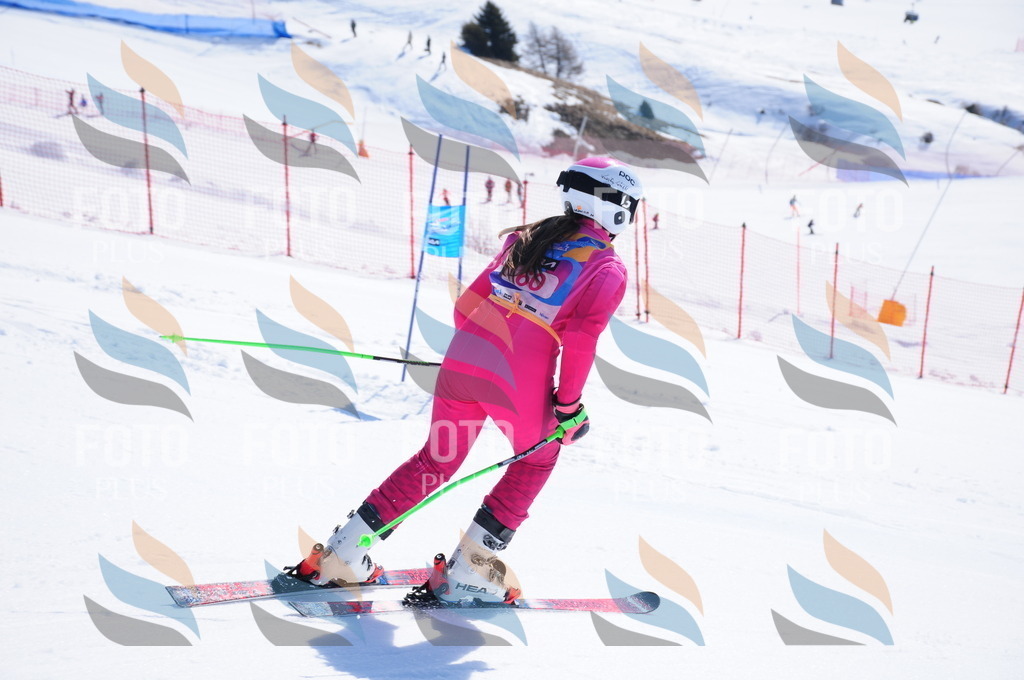 DSC_4309 | holidayphoto