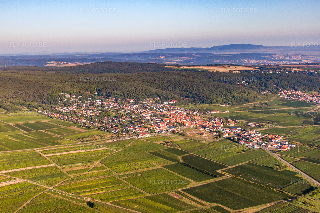 Luftbild: Weinbergen am Haardtrand in Weisenheim am Berg im Bundesland Rheinland-Pfalz in Deutschland. Foto: IMG_44428.jpg vom 20.08.2011 durch Werner Riehm/FLY-FOTO.de