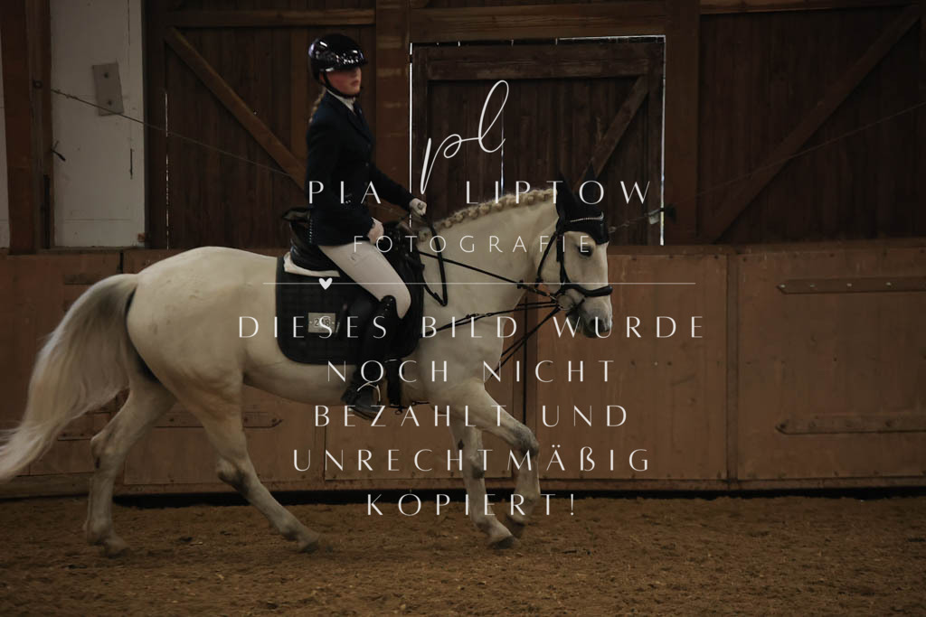 IMGT1102 | pl-fotografie