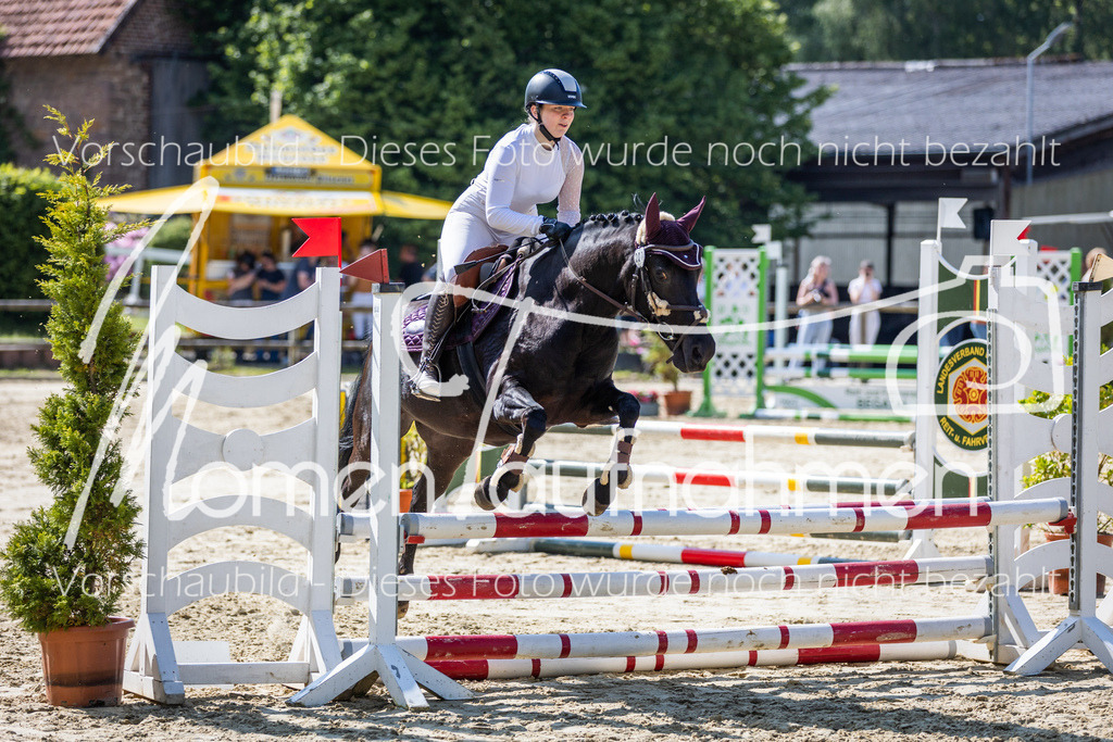 Donop24-ESpr-093 | MomenTaufnahmen Pferdesportfotos