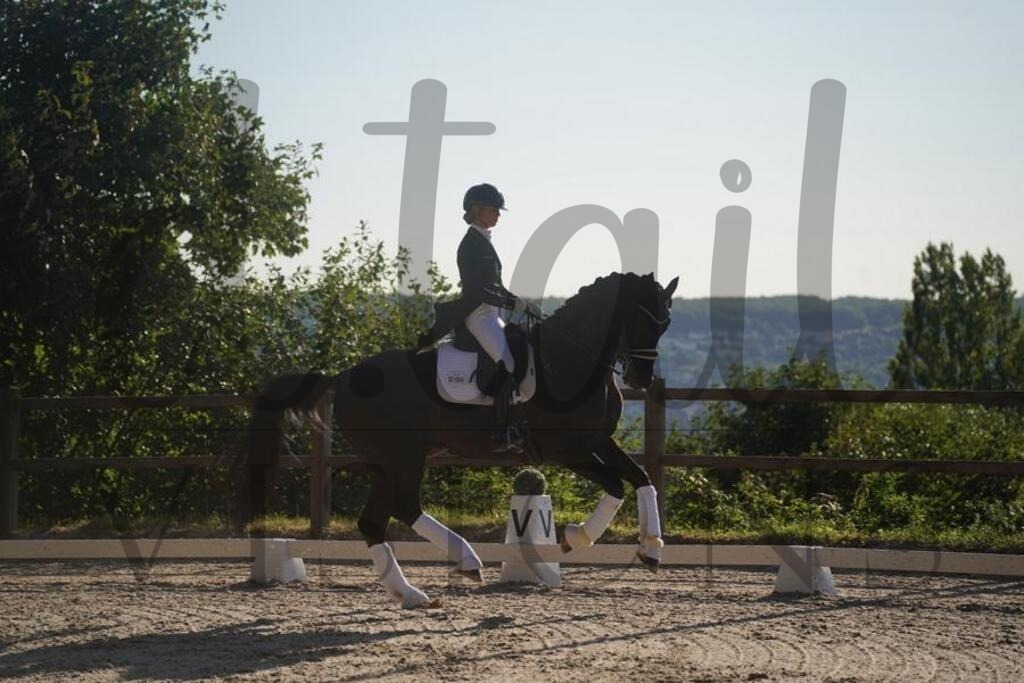 tgbhsonntag (2389) | d.tail Visions - Shop - Realisiert mit Pictrs.com