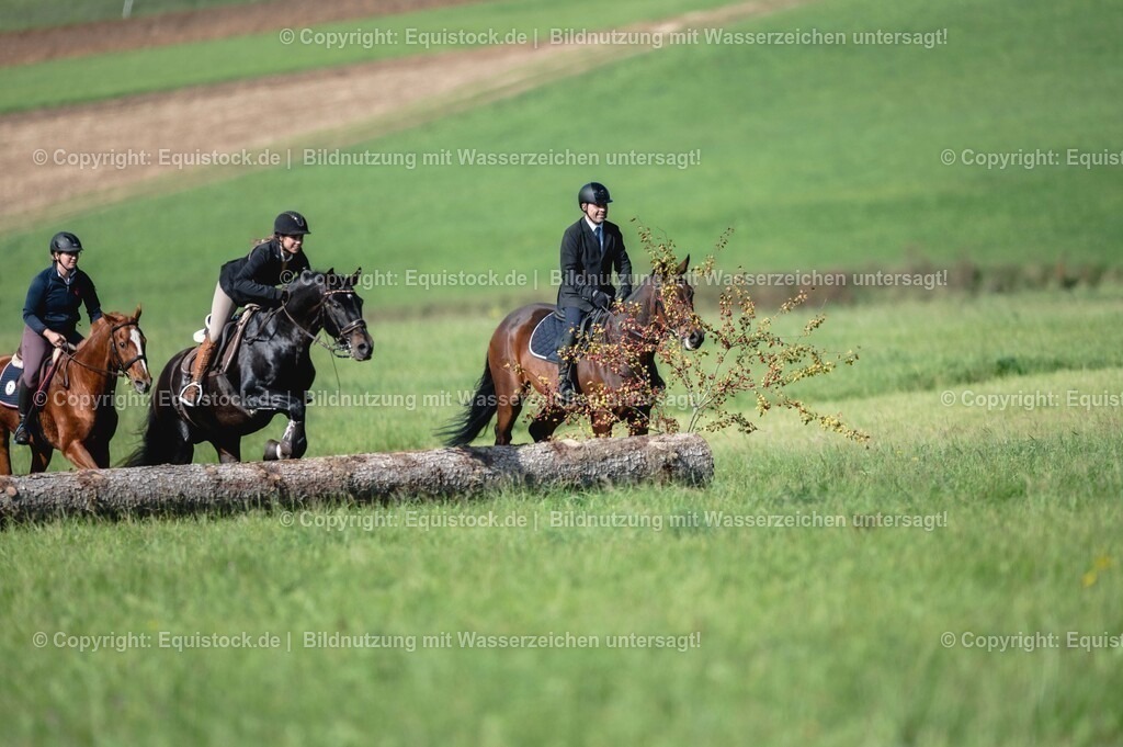 20251011_Jagd-Marbach_0250 | Foto: Thomas Hartig