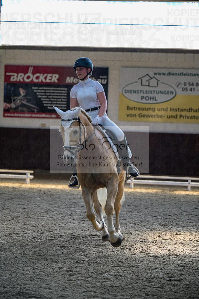 Reitturnier Voxtrup | Entdecke hochwertige Reitturnierfotos von Foto Oger. Professionell, emotional und authentisch – jetzt Lieblingsmomente im Shop bestellen.Deutschlandweite Turnierfotografie. - Realisiert mit Pictrs.com