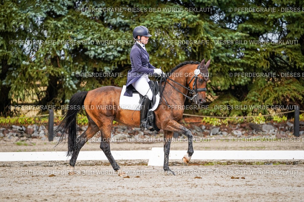 DSC00309 | Pferdegrafie