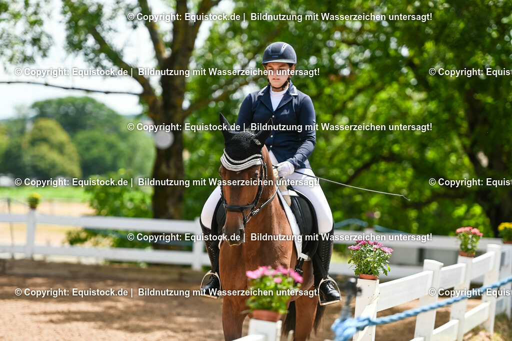 20230716_03_Dressurprfg. Kl.L - Tr._0677 | equistock