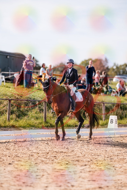 2026_10_03_Siefer-Hof_130159_Z81_54377578 | Professionelle Reitsport-, Turnier- und Eventfotografie von Robert Broda. Galerien mit ausgewählten und bearbeiteten Bildern direkt online ansehen und bestellen.