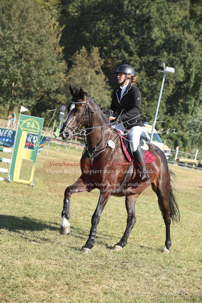 DSC_5387 | Pferde- und Turnierfotografie in Westsachsen. Pferdeportraits, Auftragszeichnungen und intuitive Kunst.